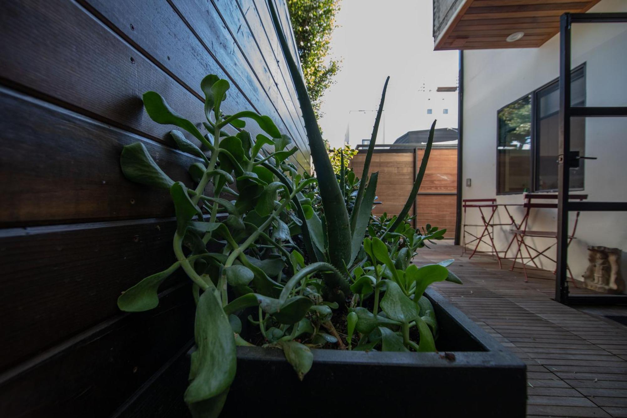Venice Beach Studio With Large Private Patio Steps To The Beach Los Angeles Kültér fotó
