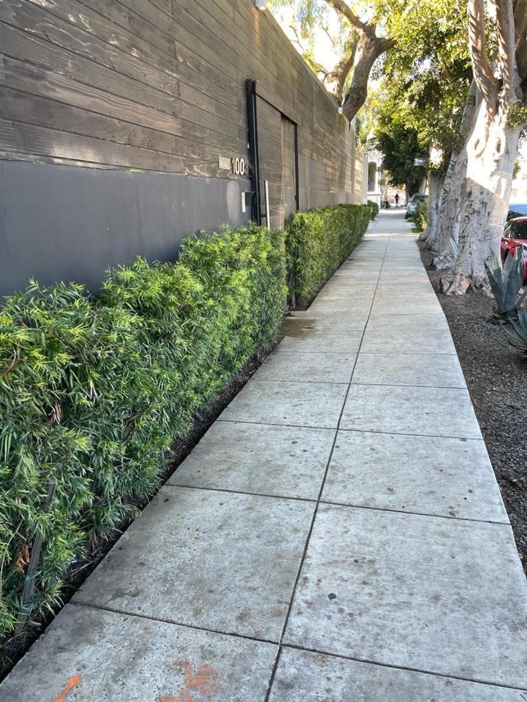 Venice Beach Studio With Large Private Patio Steps To The Beach Los Angeles Kültér fotó