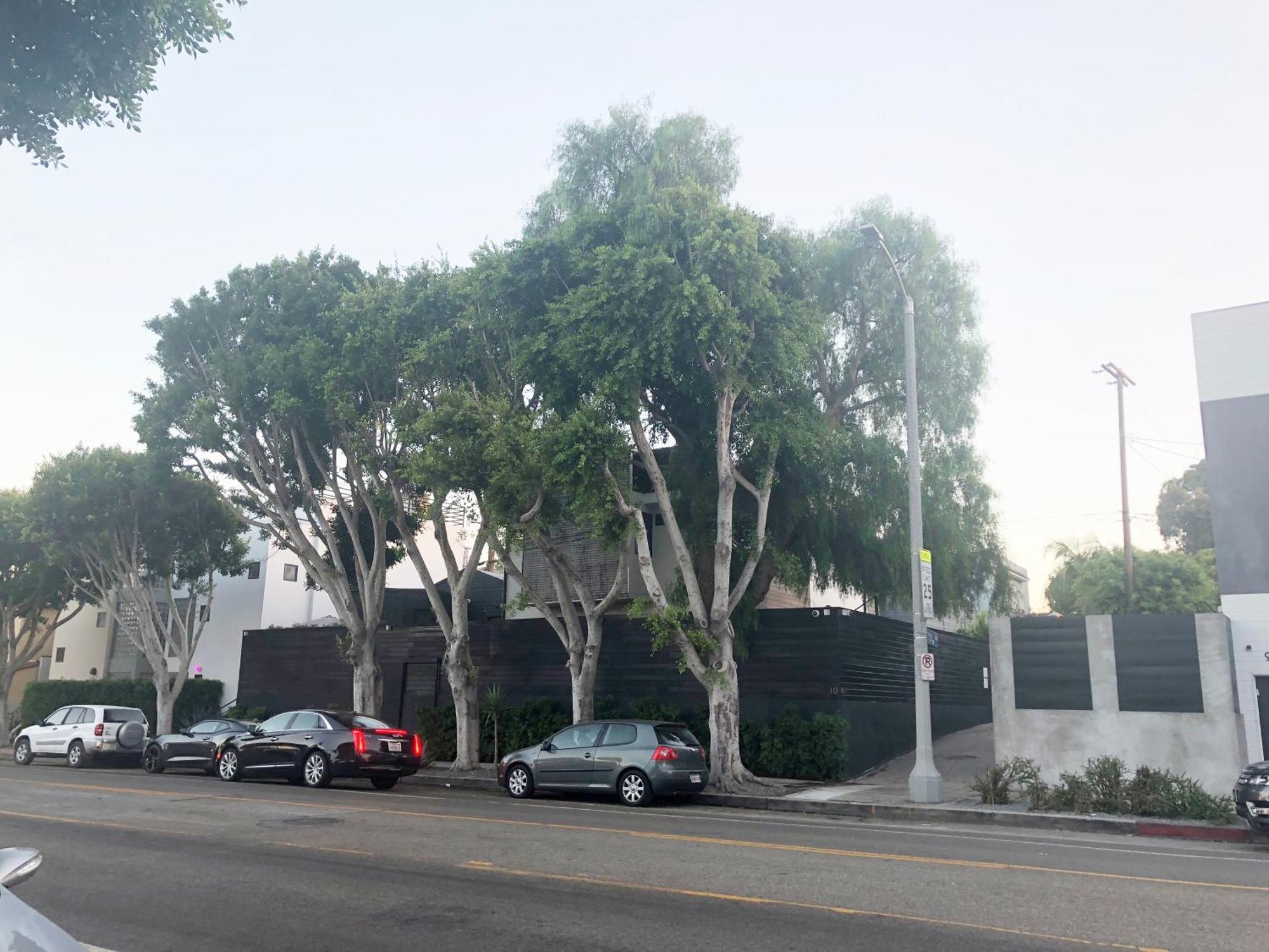 Venice Beach Studio With Large Private Patio Steps To The Beach Los Angeles Kültér fotó