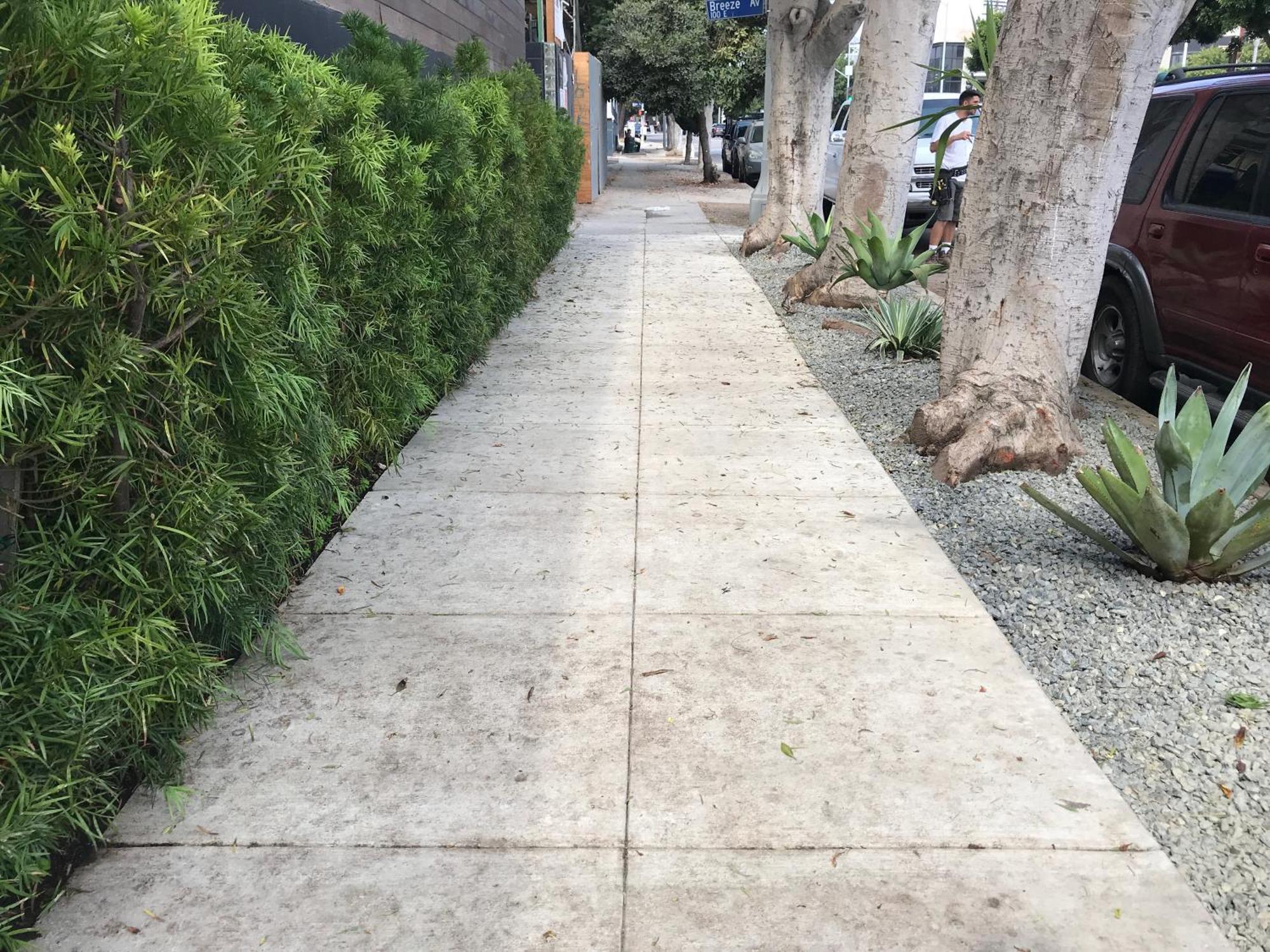 Venice Beach Studio With Large Private Patio Steps To The Beach Los Angeles Kültér fotó
