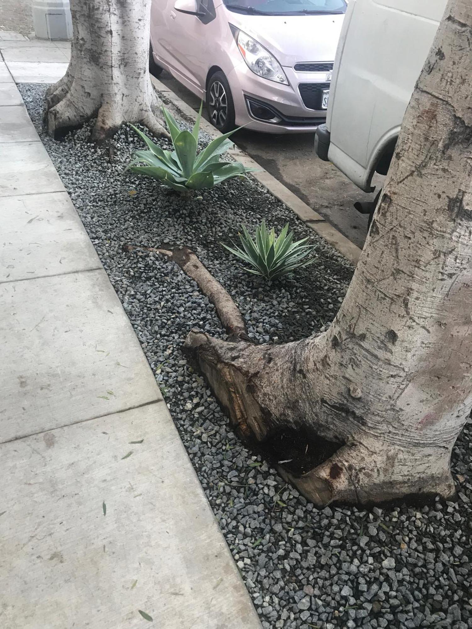 Venice Beach Studio With Large Private Patio Steps To The Beach Los Angeles Kültér fotó